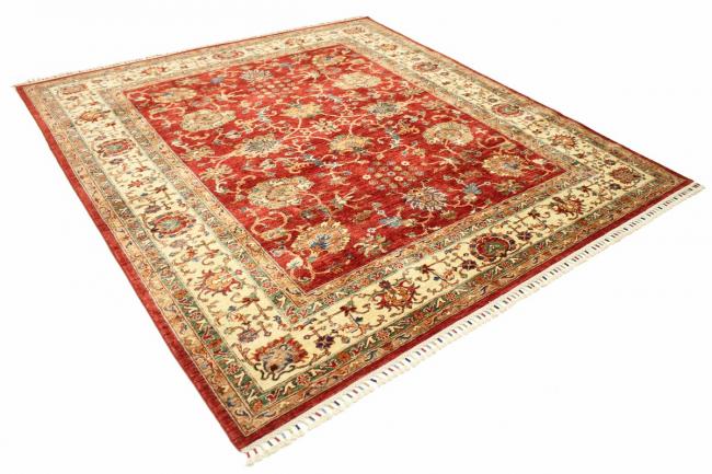 Arijana - 6